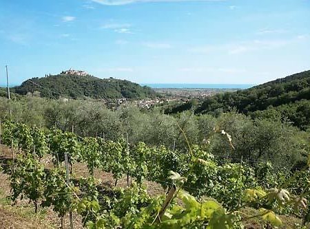La Sarticola Villa Luni Kültér fotó