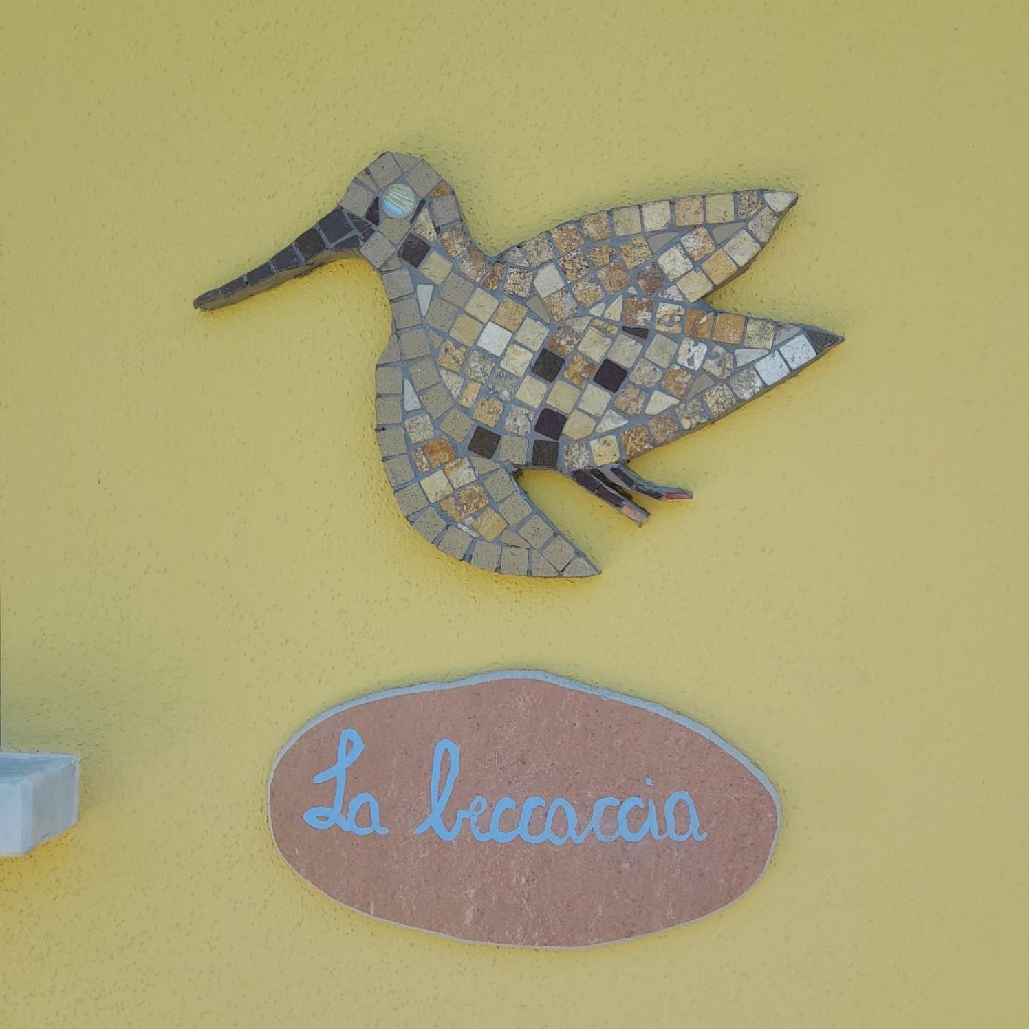 La Sarticola Villa Luni Kültér fotó