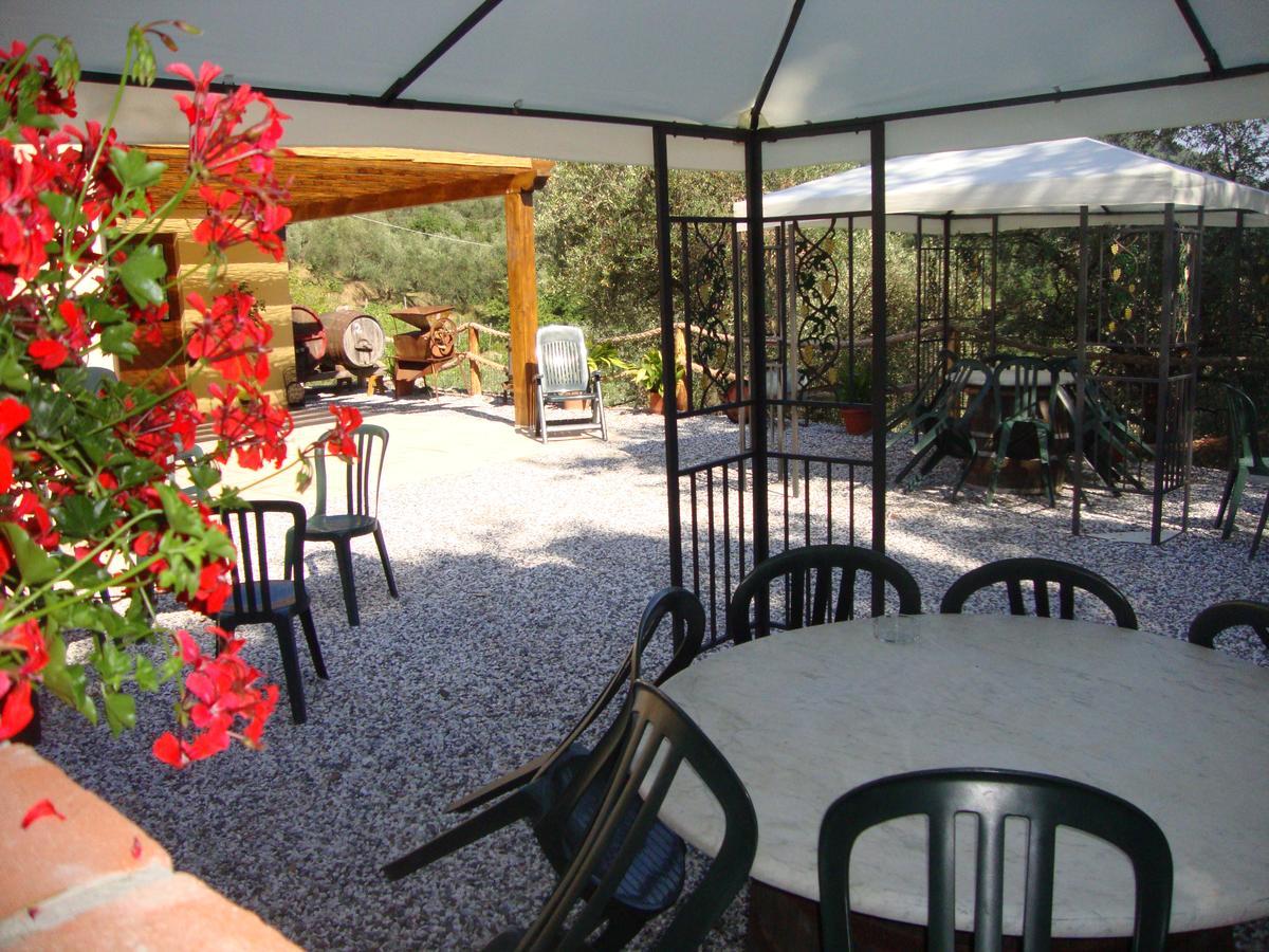 La Sarticola Villa Luni Kültér fotó