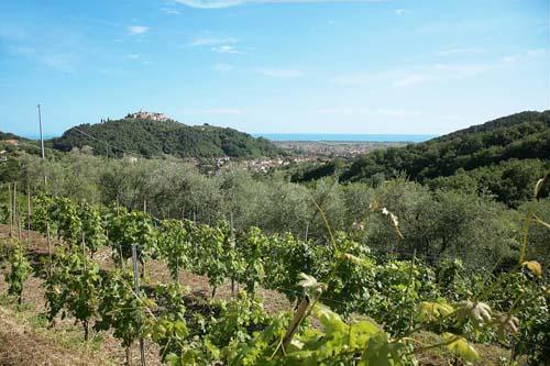 La Sarticola Villa Luni Kültér fotó